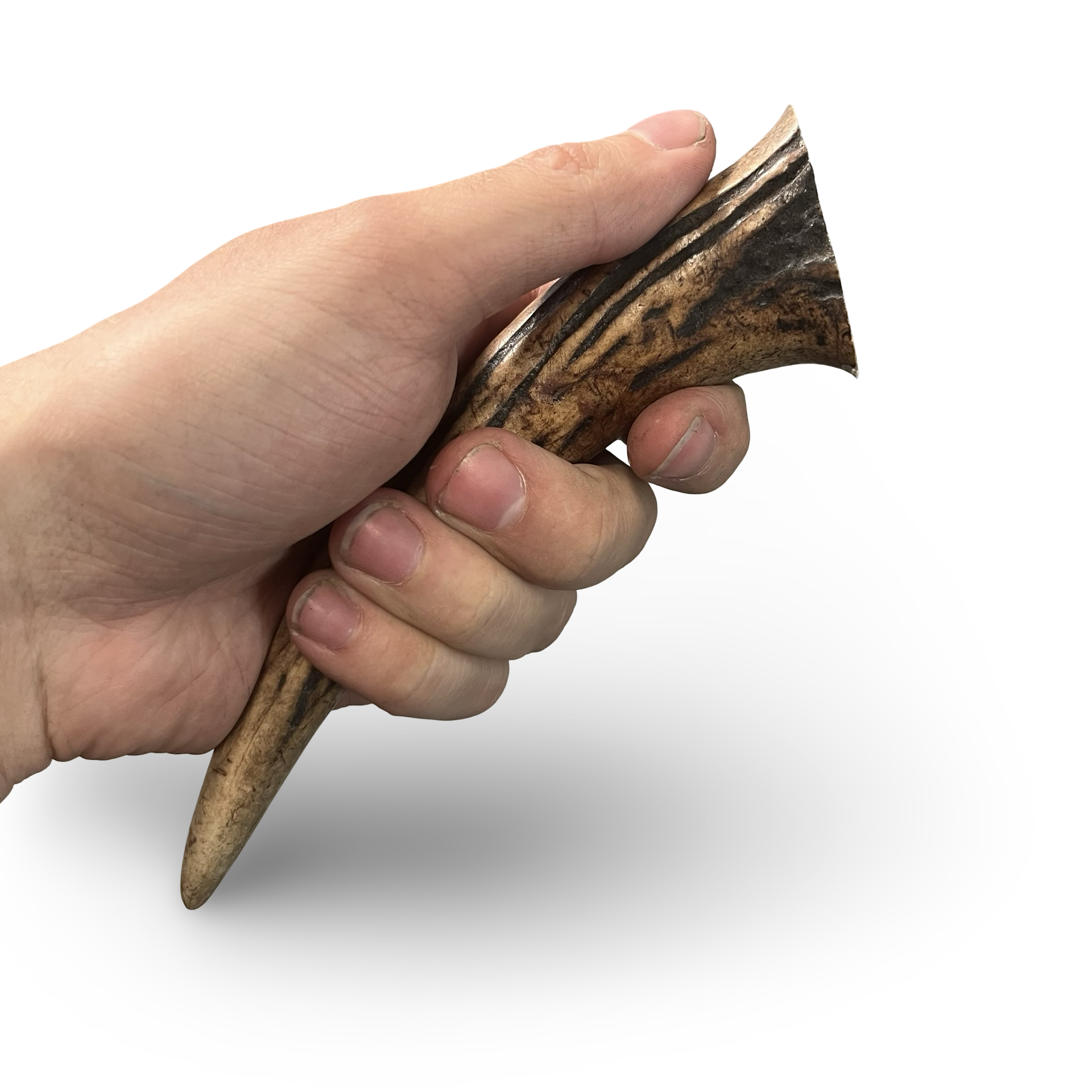Hand holding a antler handle with a white background