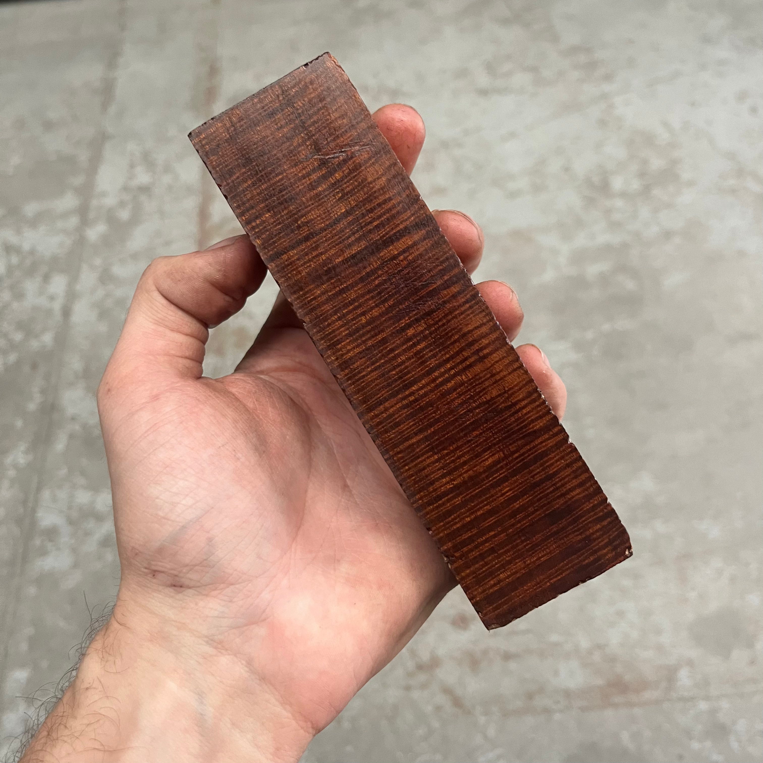 High Figure Ringed Gidgee