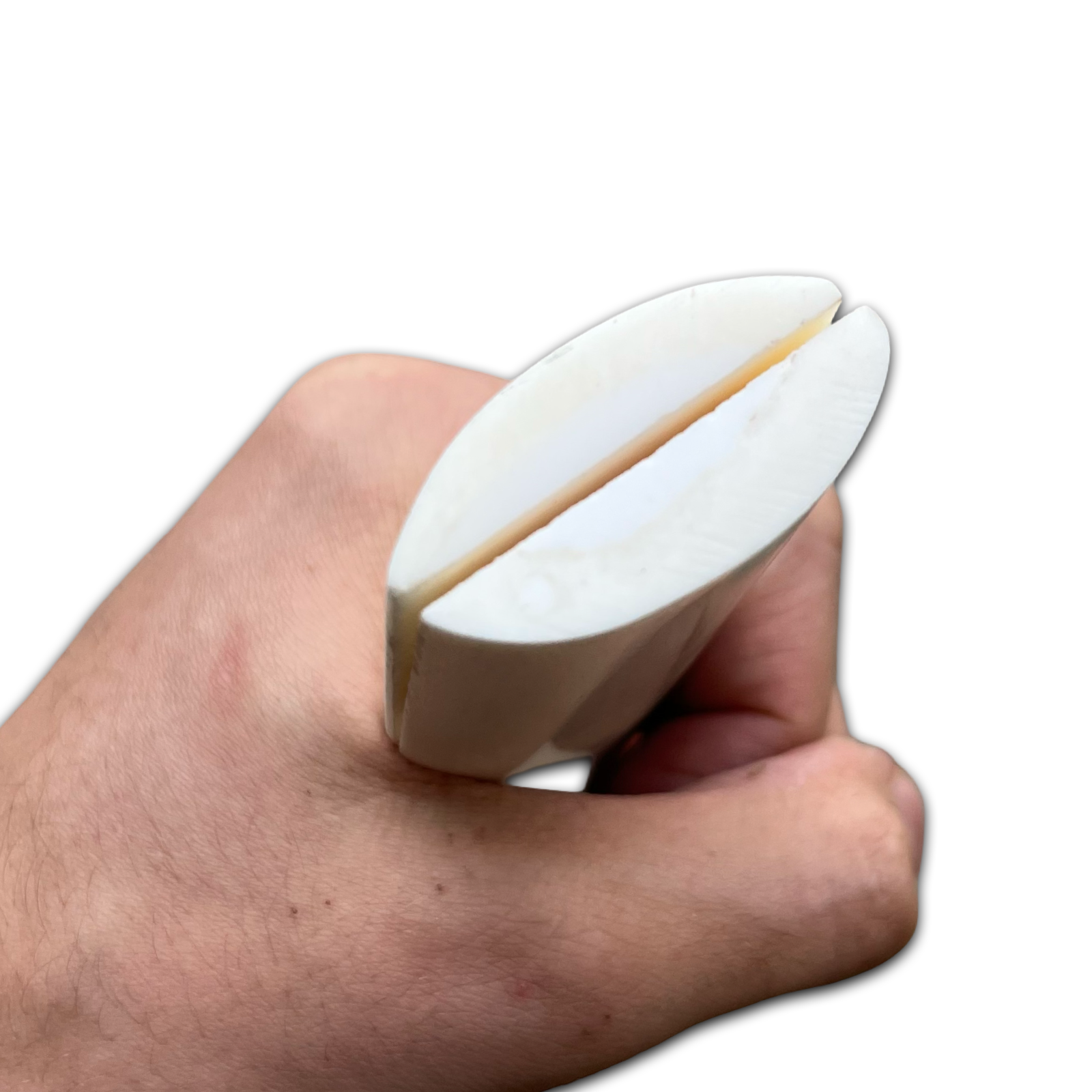 Stabilised Camel Bone Scales - White (8x38x127mm)