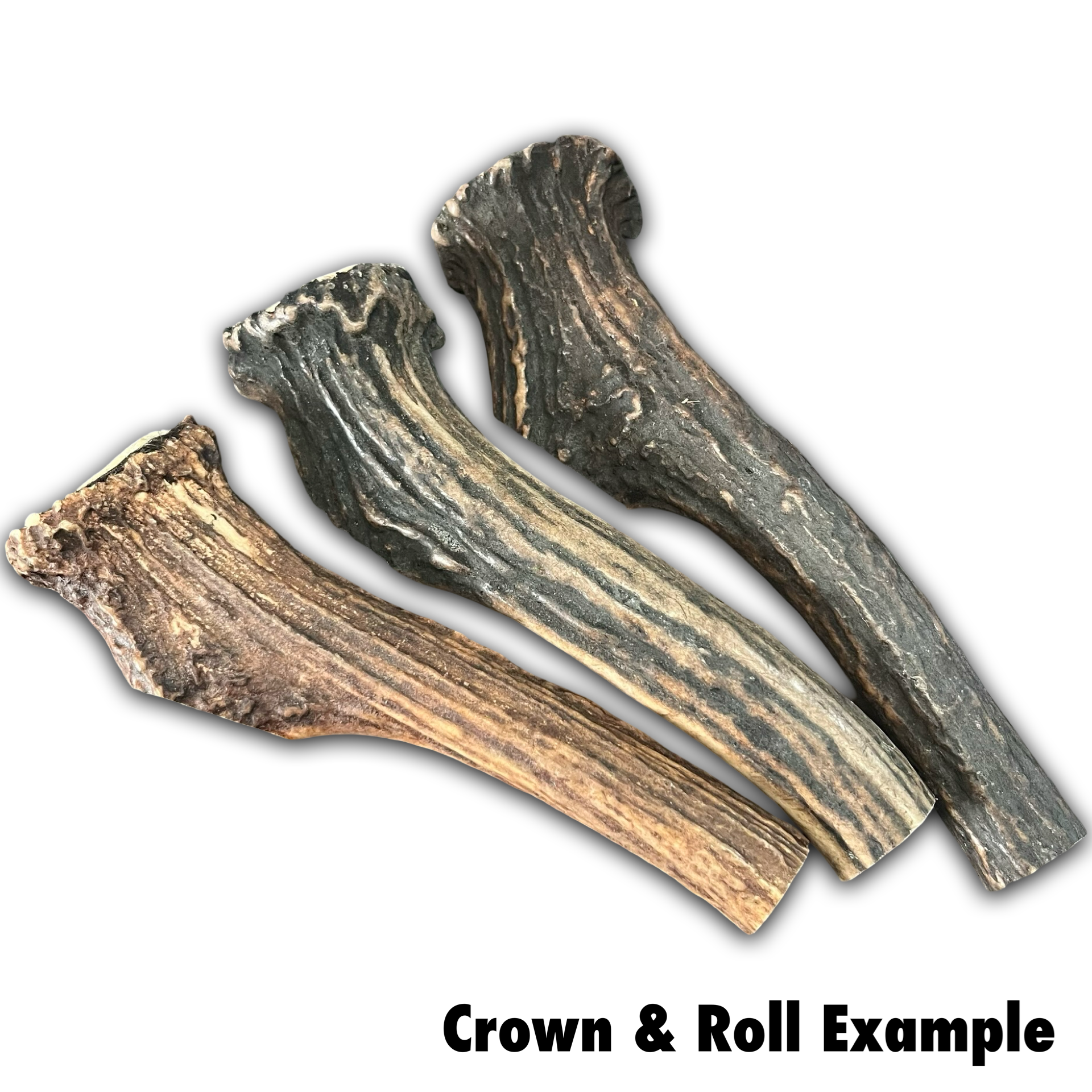 Samba & Rusa Antler Crowns