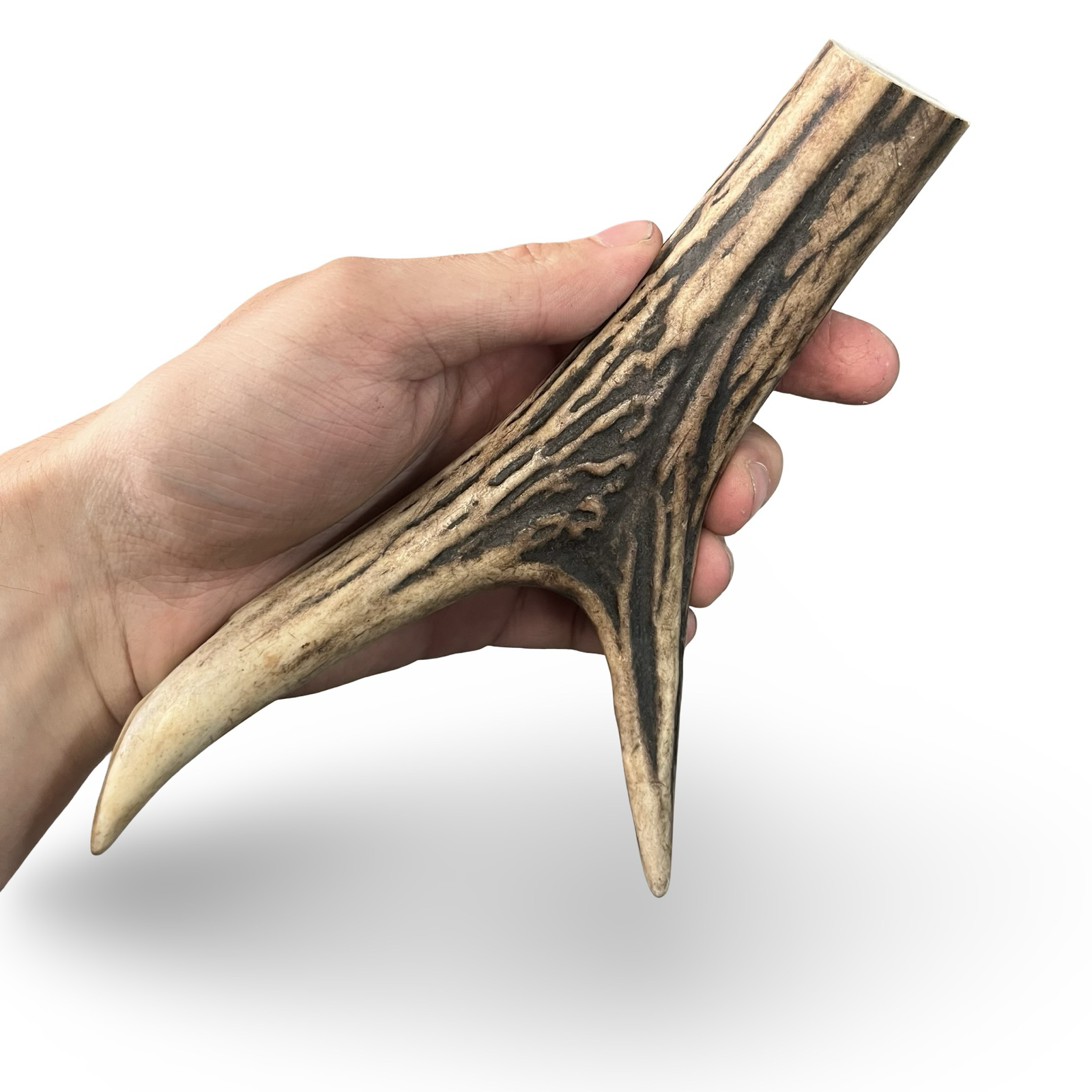 Samba & Rusa Antler Large Double Tips