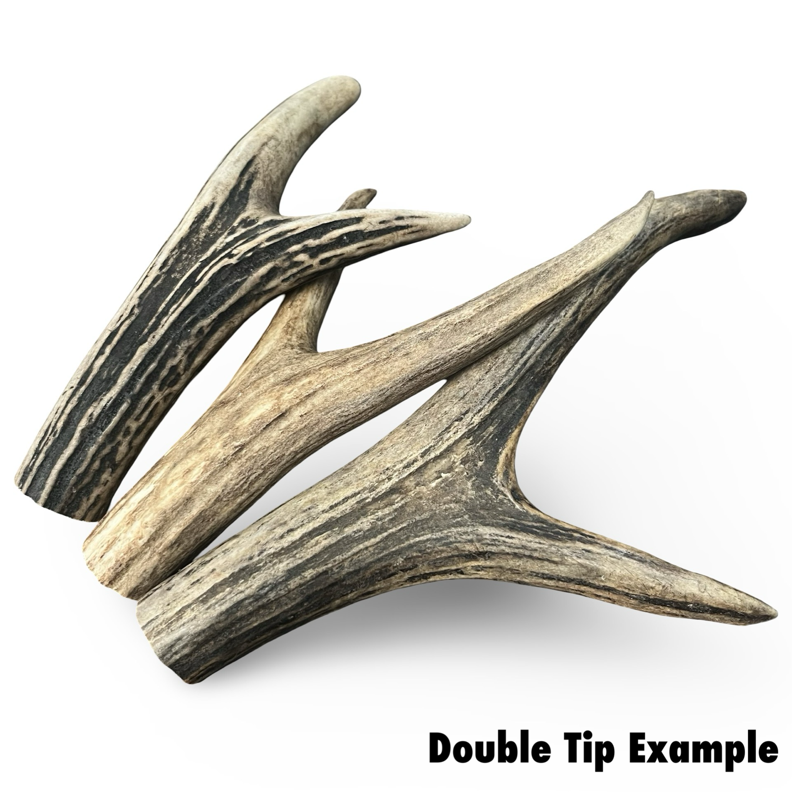 Samba & Rusa Antler Large Double Tips