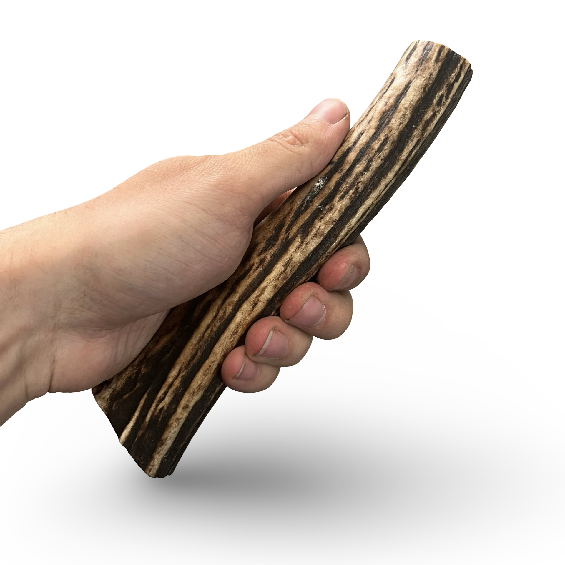 Samba & Rusa Antler Rolls