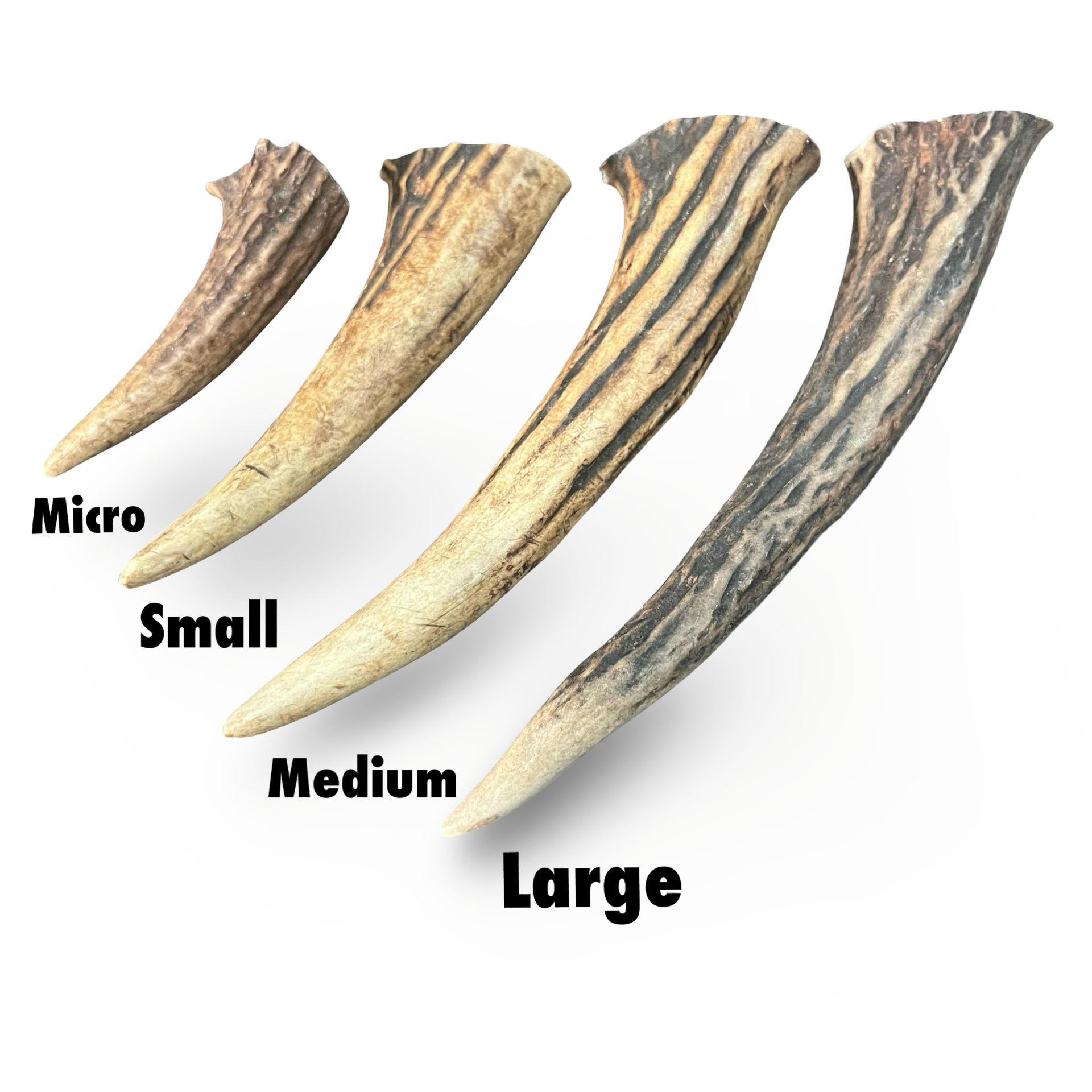 Samba & Rusa Antler Tips