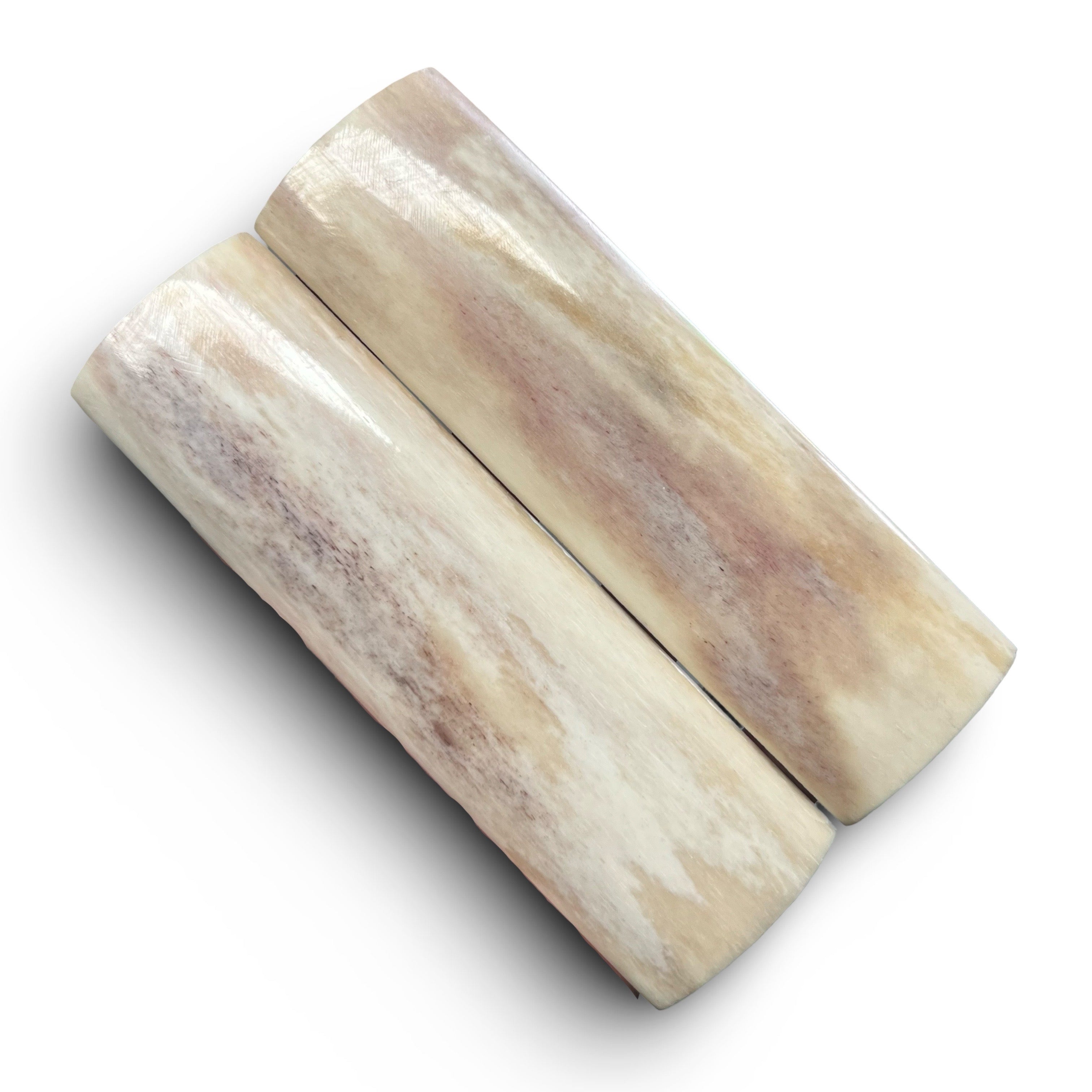 Two cylindrical bone objects on a white background
