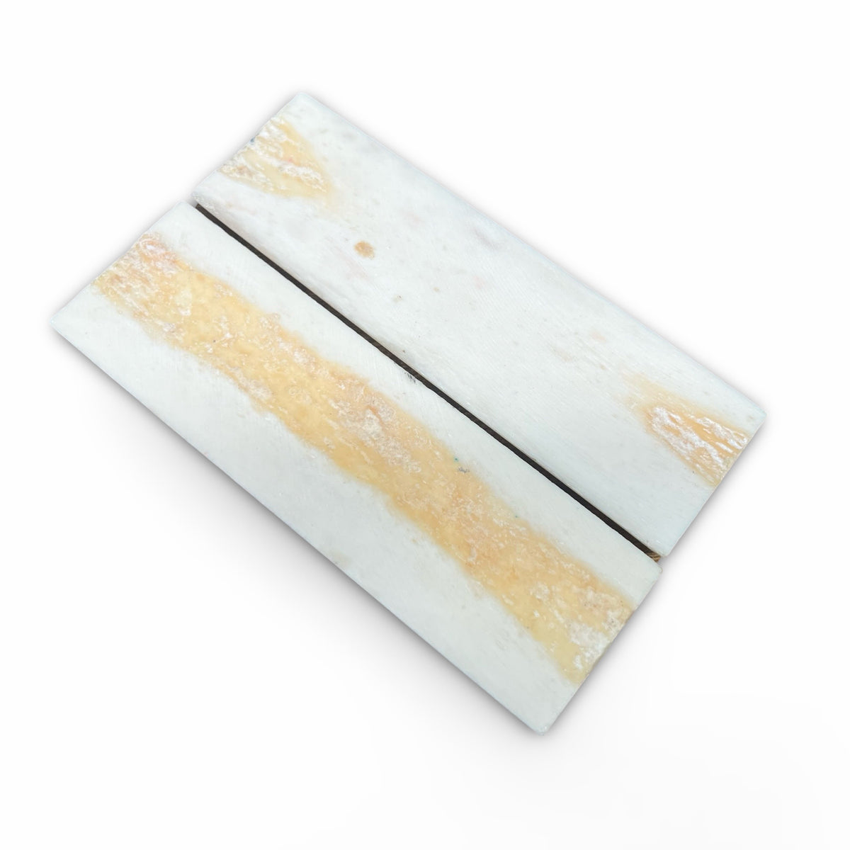 Natural Camel Bone Underside