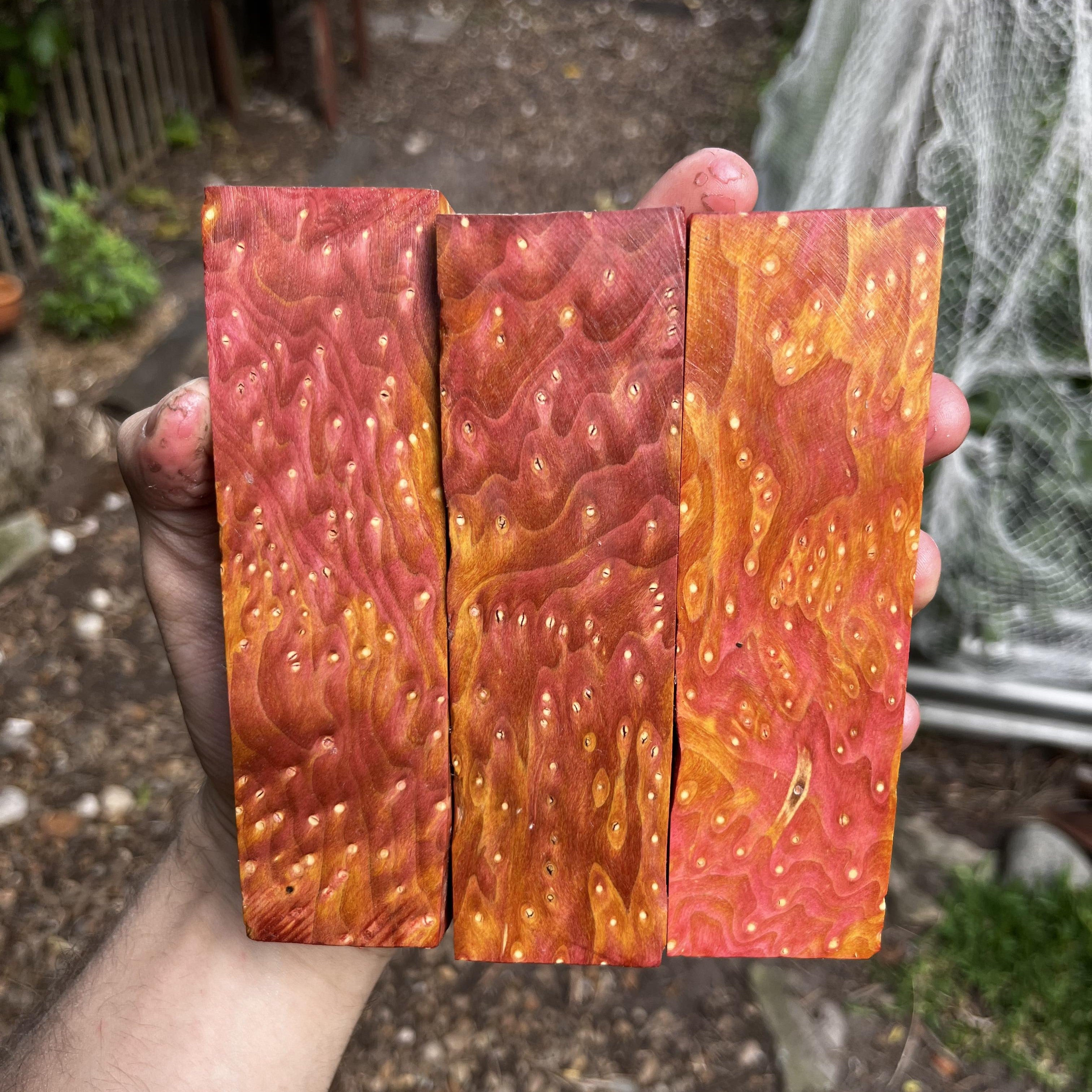 Red & Yellow Stabilised Maple Birdseye Burl (30x40x135mm)