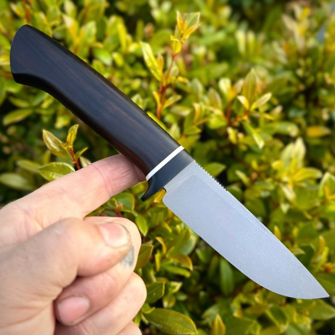 Ebony Knife Handle Wood Blocks