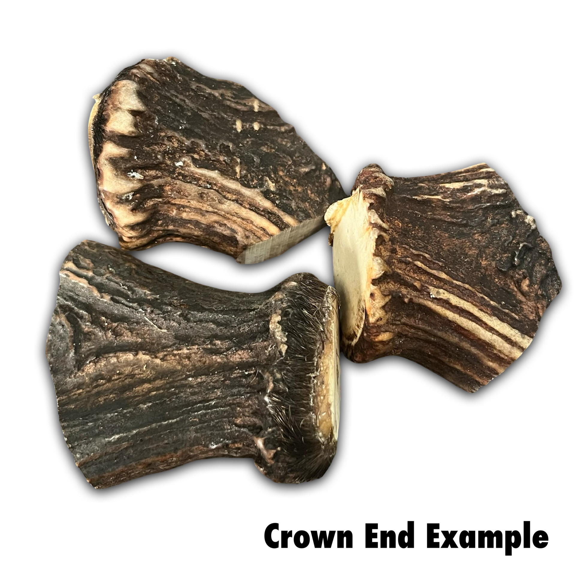 Samba & Rusa Antler Crowns