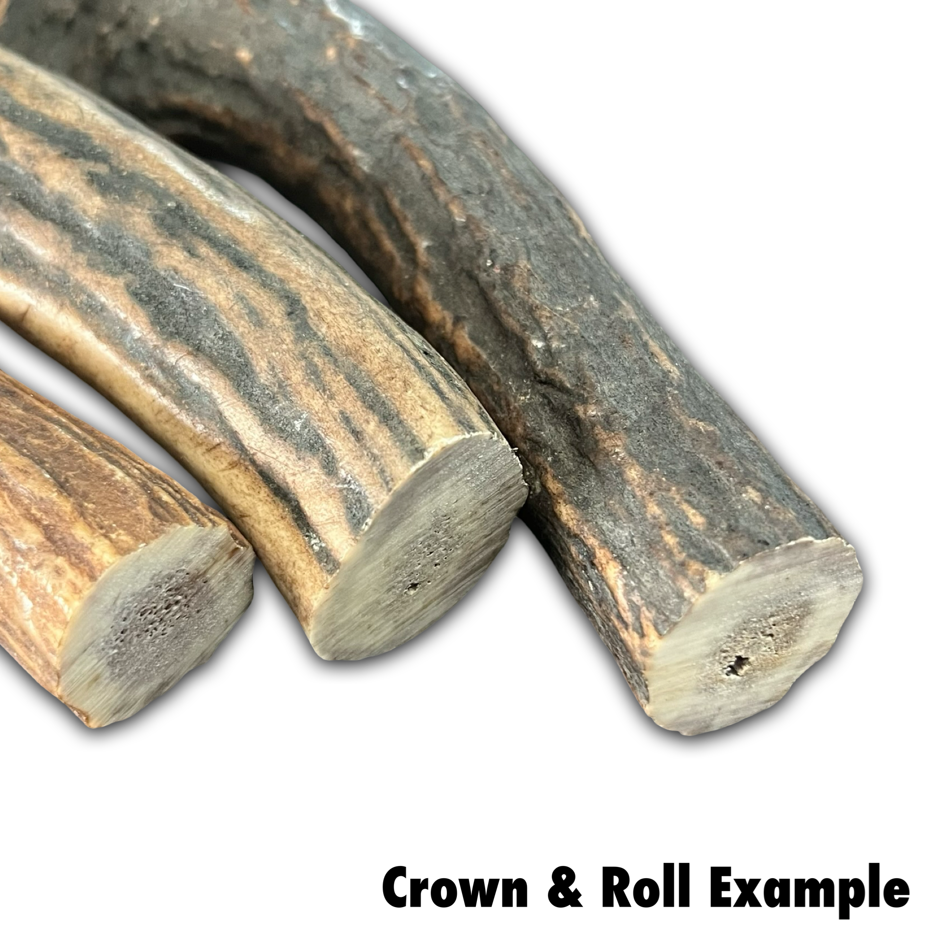 Samba & Rusa Antler Crowns