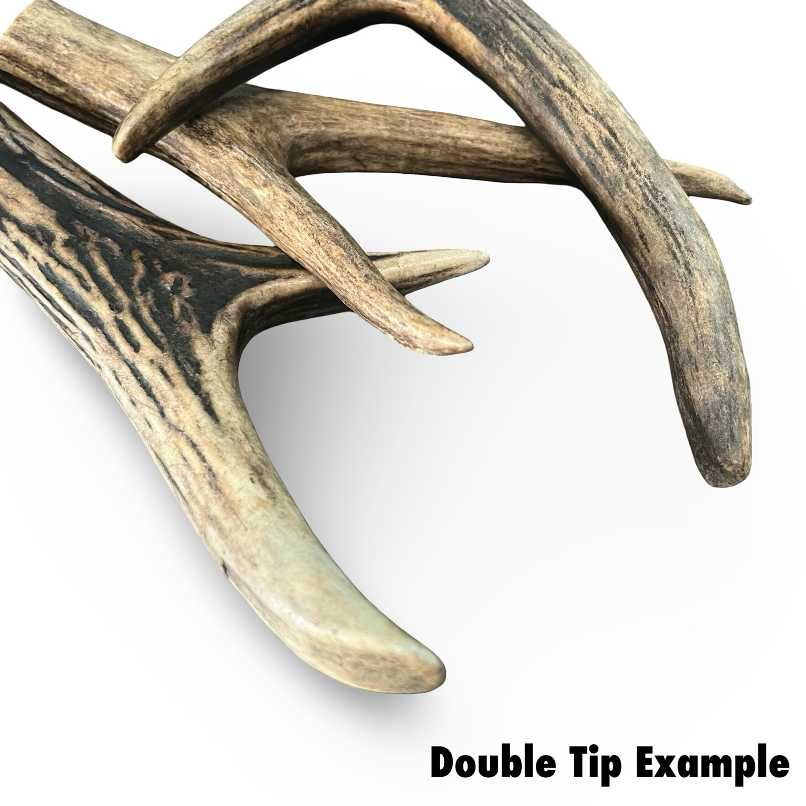 Samba & Rusa Antler Large Double Tips