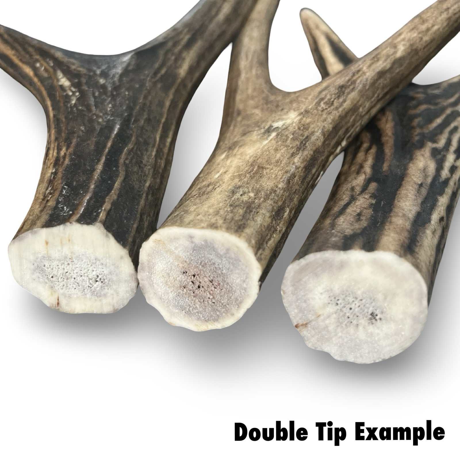 Samba & Rusa Antler Large Double Tips