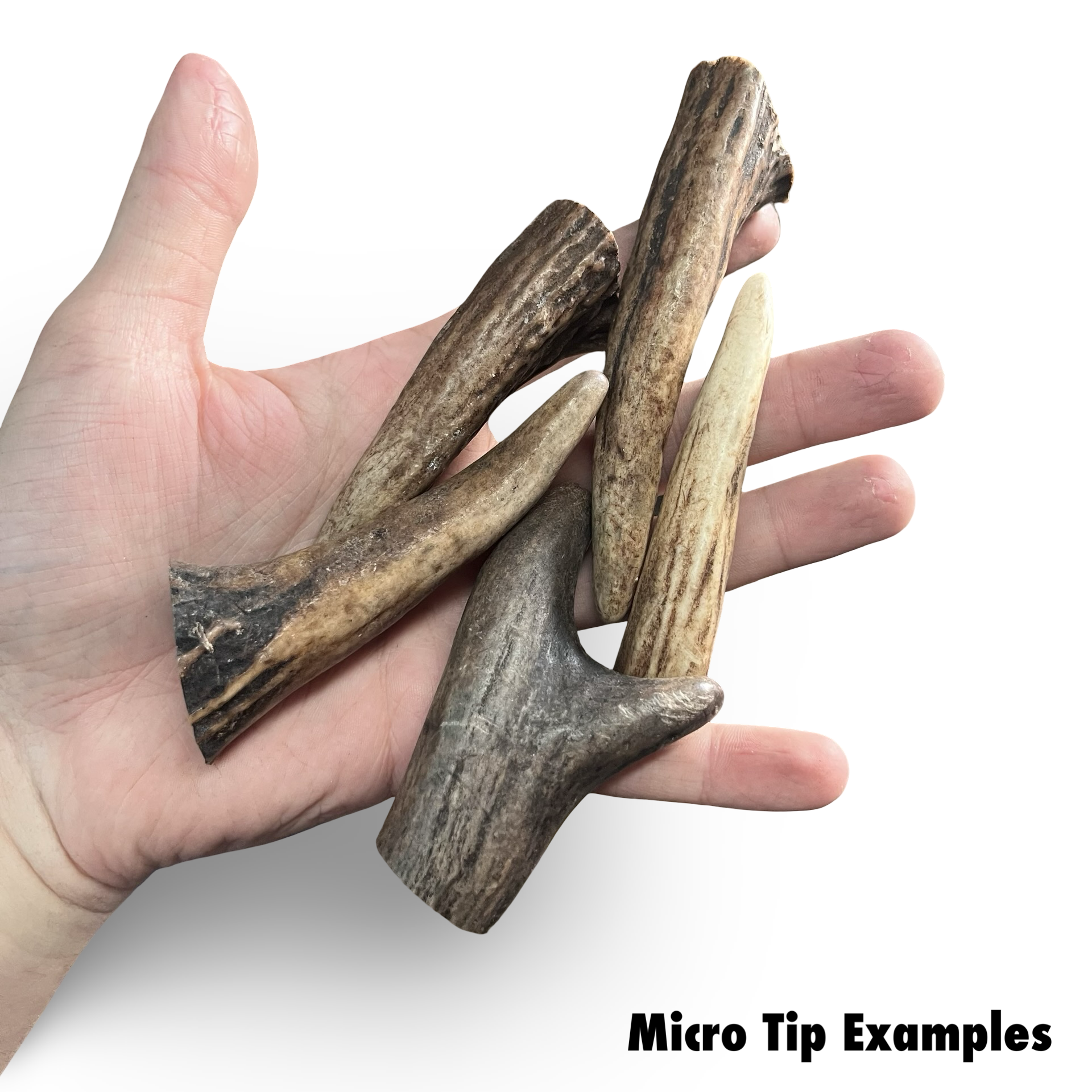 Samba & Rusa Antler Tips