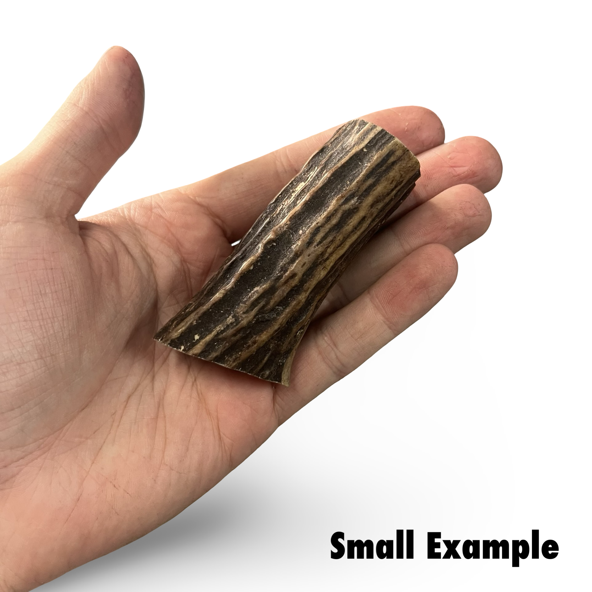 Hand holding a small antler stick with 'Small Example' text at the bottom.